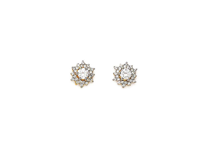 Gold Plated | Fashion Earrings